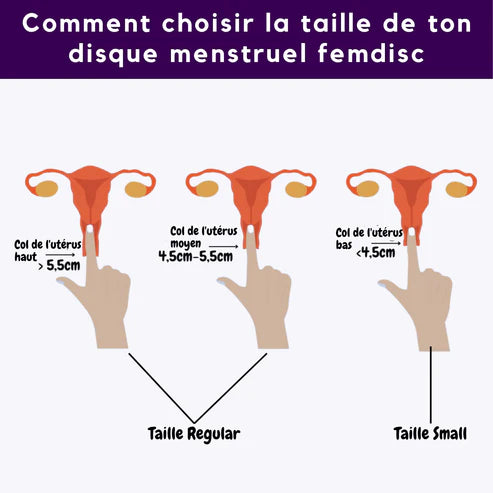 Femdisc: coupe menstruelle améliorée réutilisable avec languette